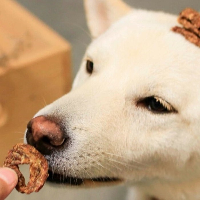 火雞洋芋多拿滋【寵物手工零食】