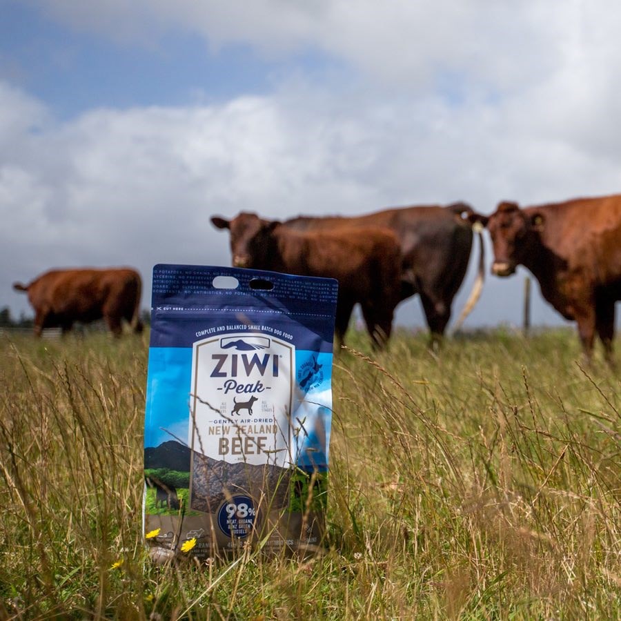 ZIWI巔峰 牛肉口味 經典系列 狗糧 ( 狗飼料 | 生食肉片 )