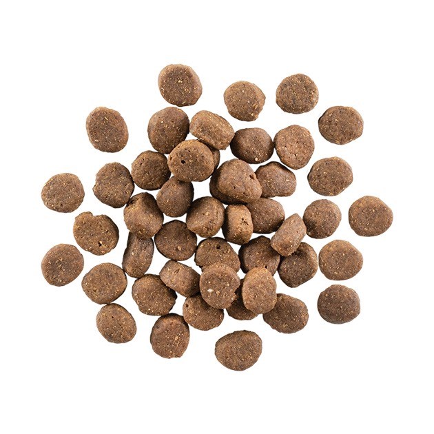 go!高肉量-能量放牧羊無穀全犬糧