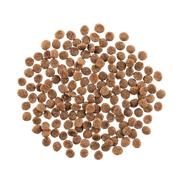 go!低致敏-鮭魚無穀全犬糧(小顆粒)