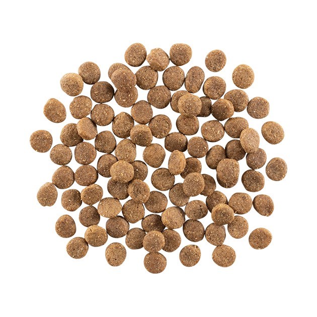 go!皮毛保健-雞肉蔬果有穀全犬糧