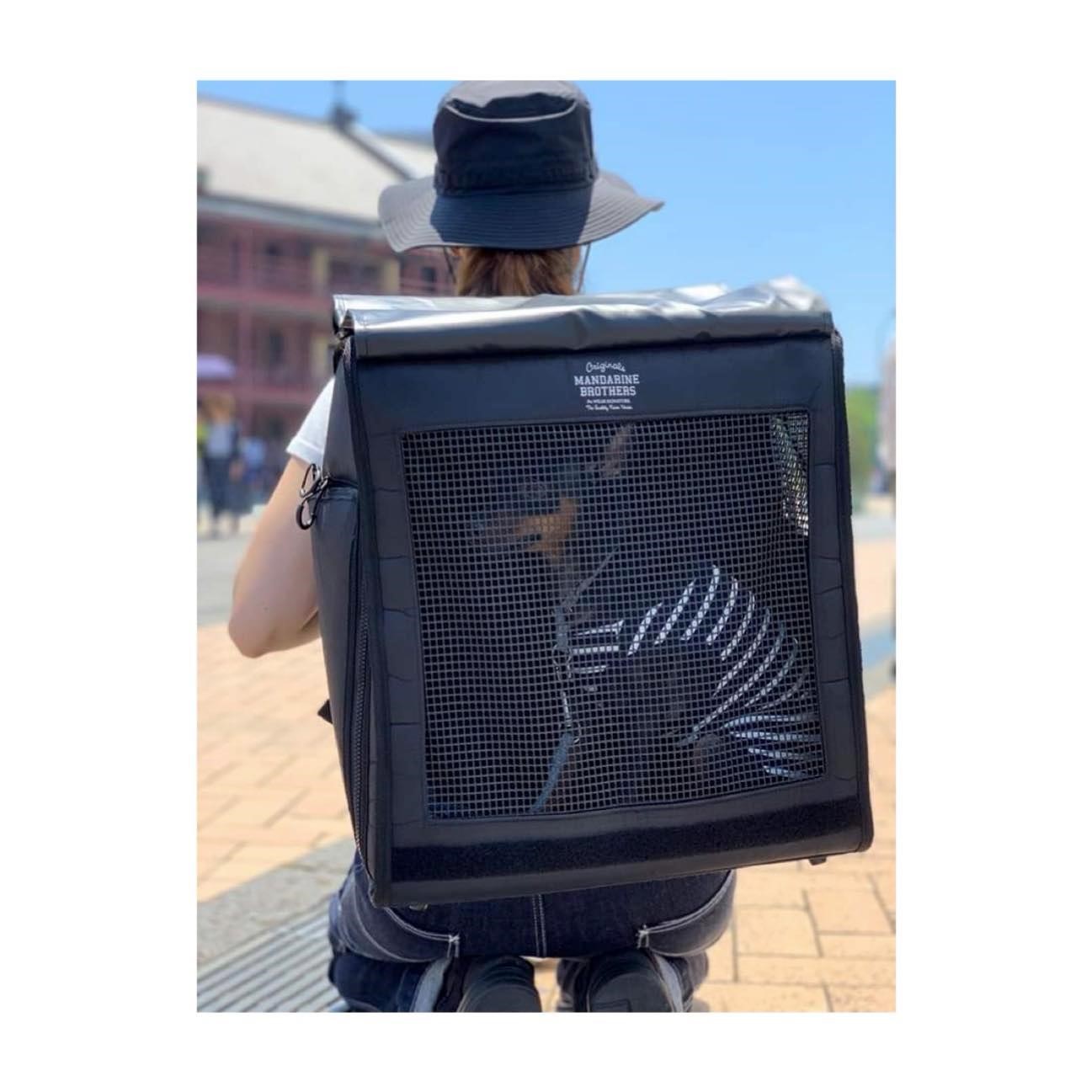BRIXTON CARRY BACKPACK 大容量後背包(綠色)