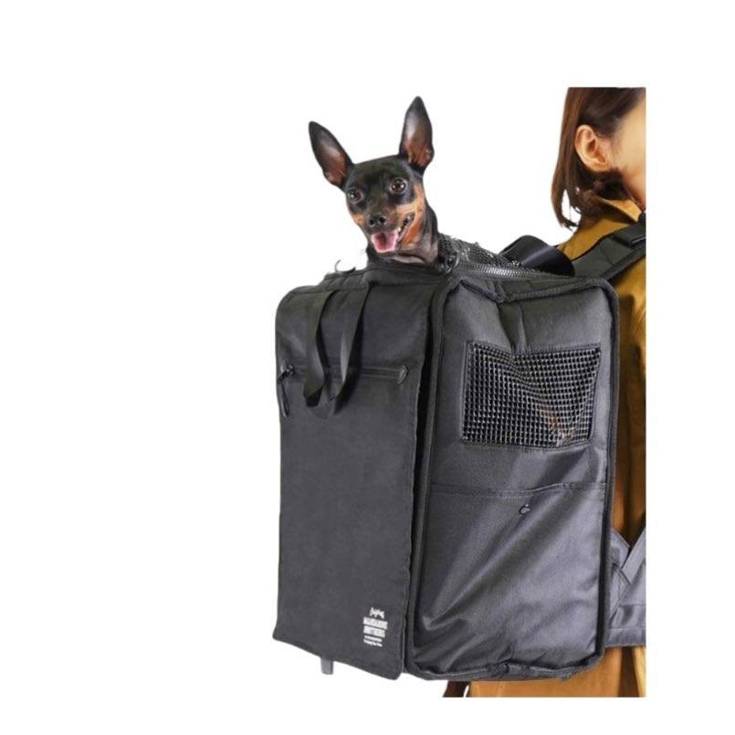 BRIXTON CARRY BACKPACK 大容量後背包(綠色)