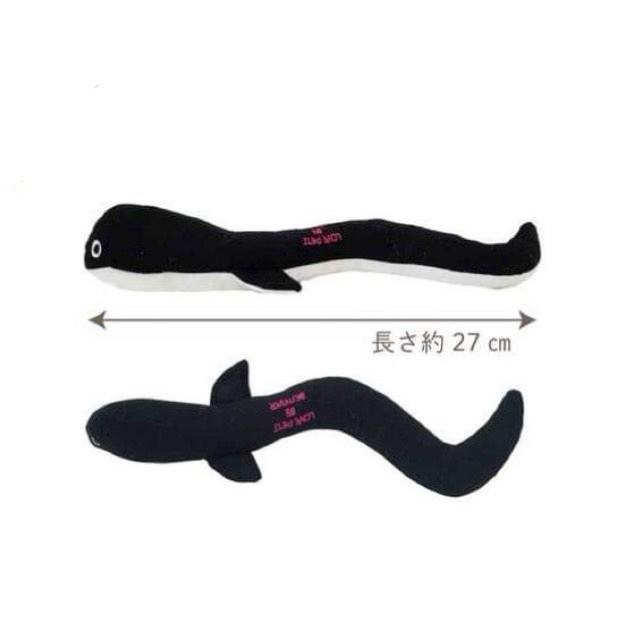 小鰻魚玩具
