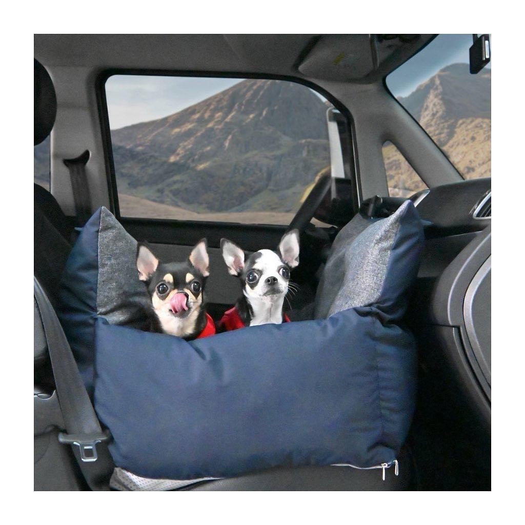 Puppia 韓國汽車安全沙發座椅 