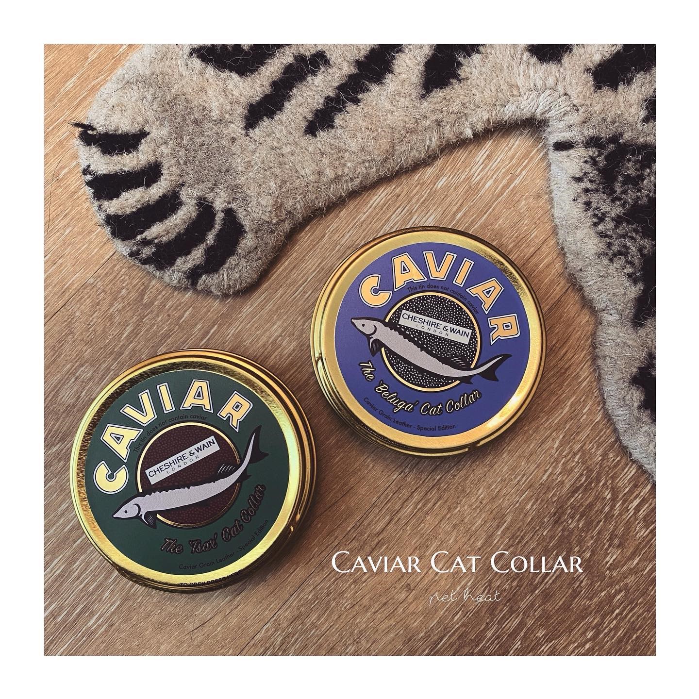 CAVIAR 魚子醬真皮項圈
