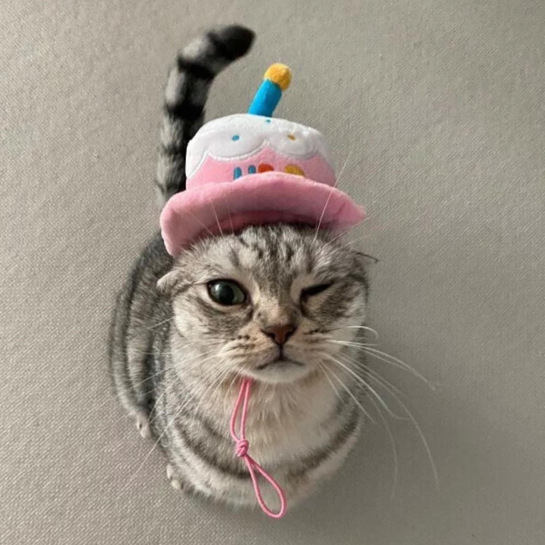 BITE ME 黑皮帽帽｜造型玩具