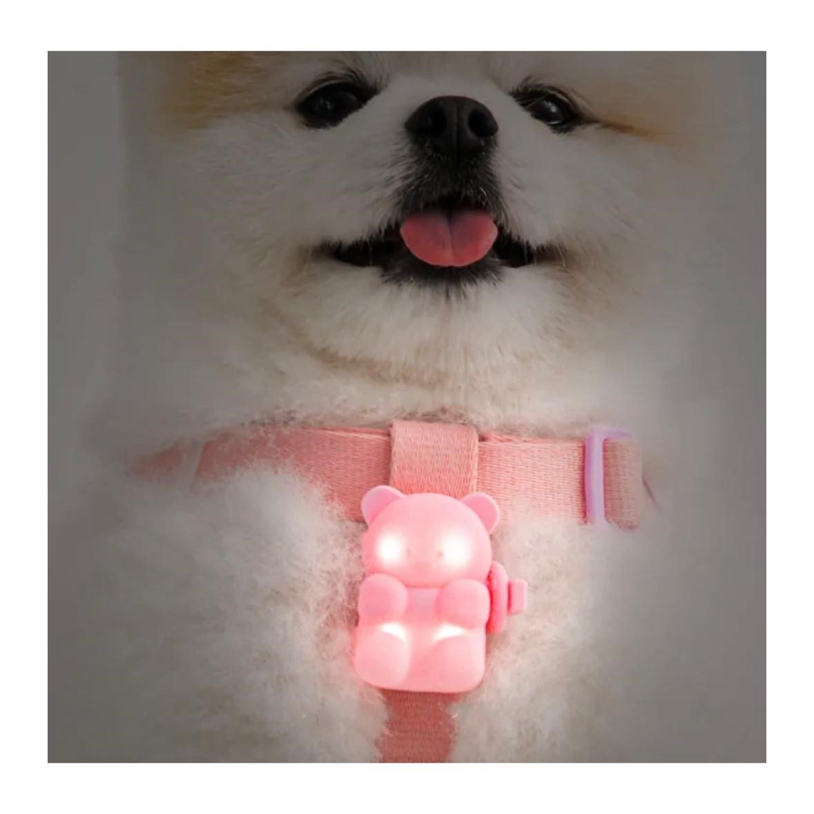 BITE ME 閃閃熊 LED散步燈 (可充電式)