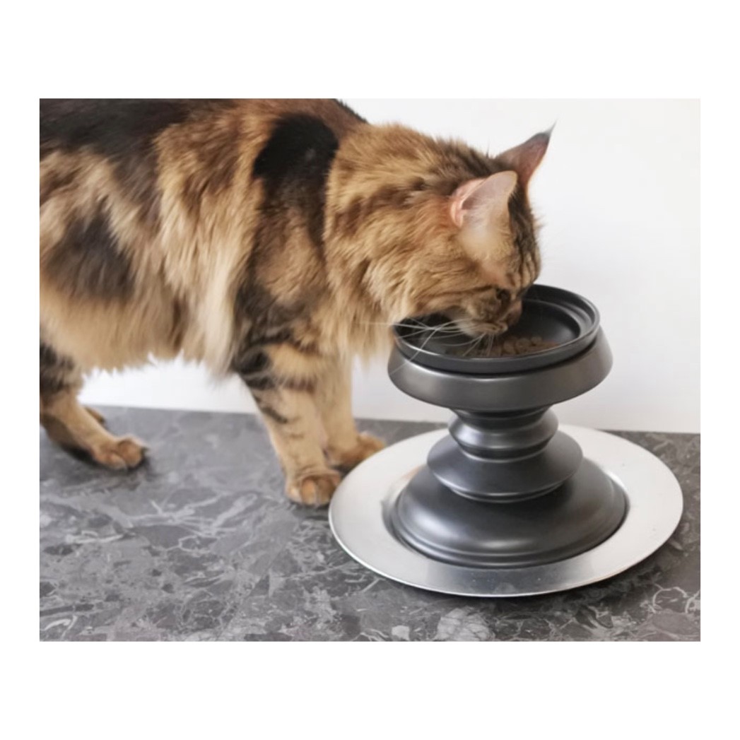 Chess piece separate foodbowl 棋子造型時髦高碗