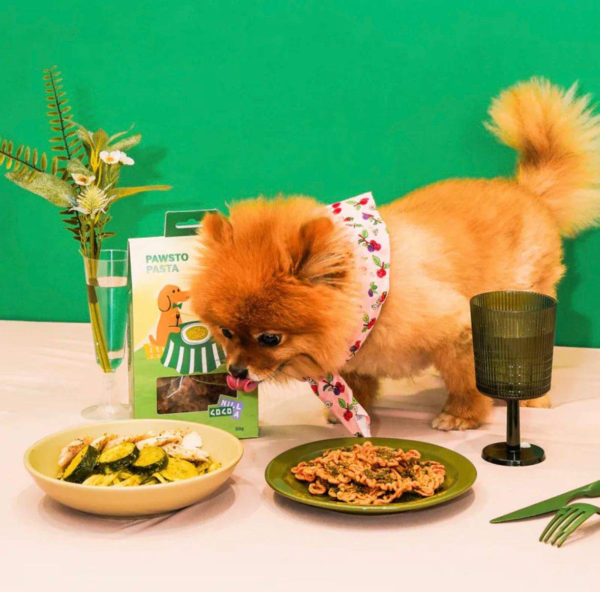 PAWSTO PASTA 義大利青醬雞肉捲捲麵