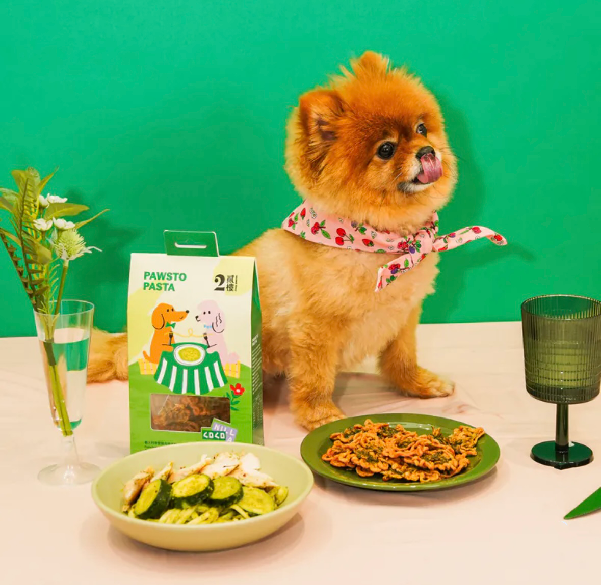 PAWSTO PASTA 義大利青醬雞肉捲捲麵