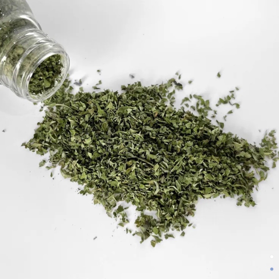 【貓用】忘憂神仙草【頂級貓薄荷】