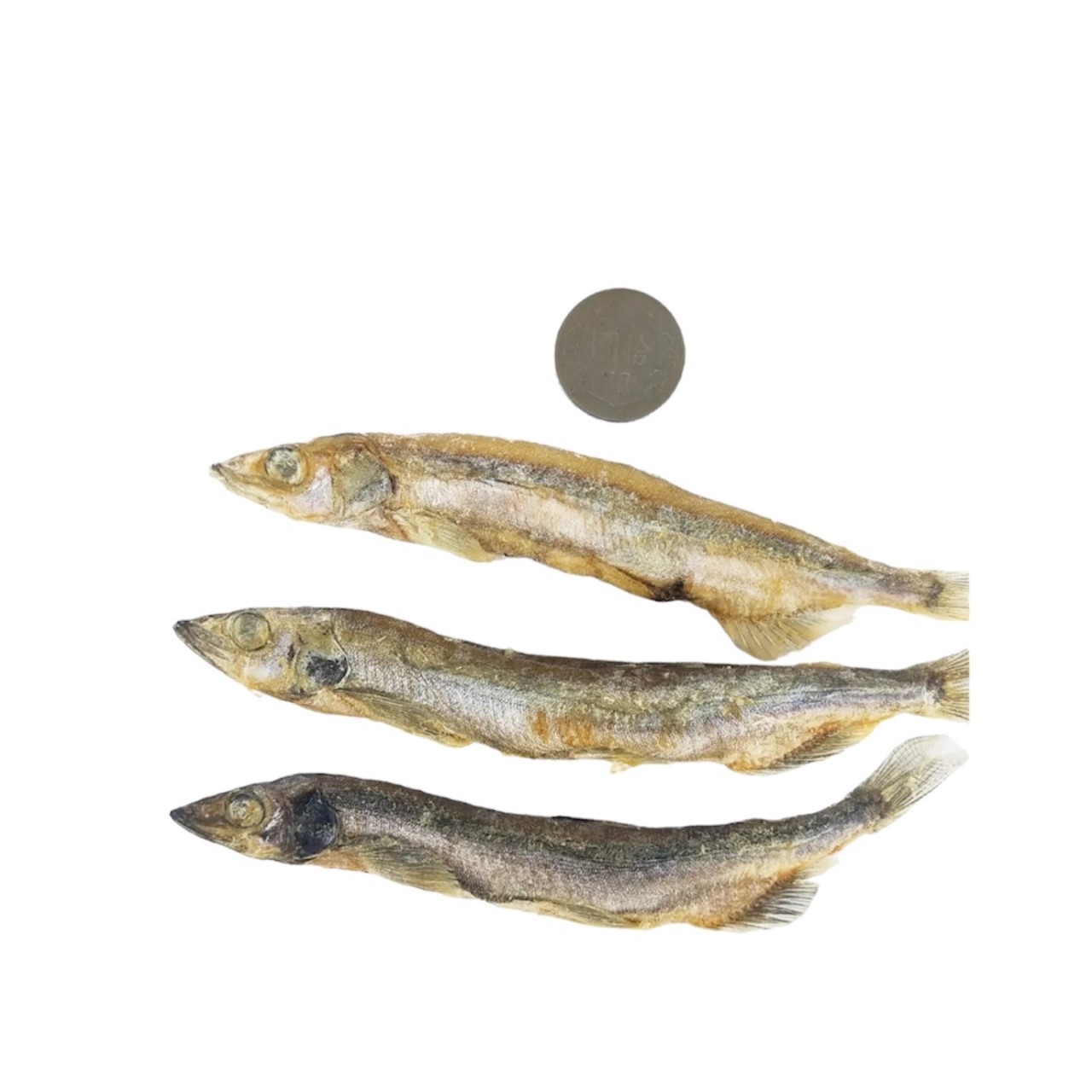 樺太柳葉魚凍乾