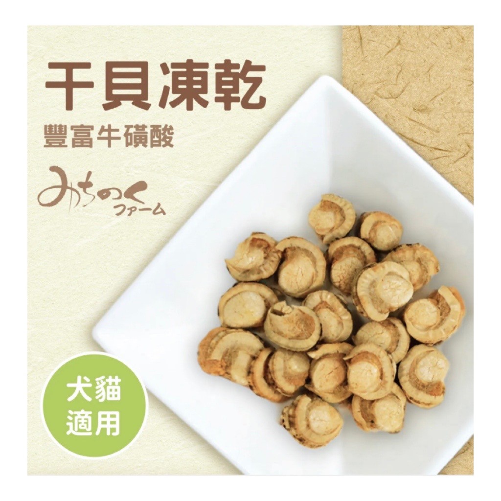 干貝凍乾