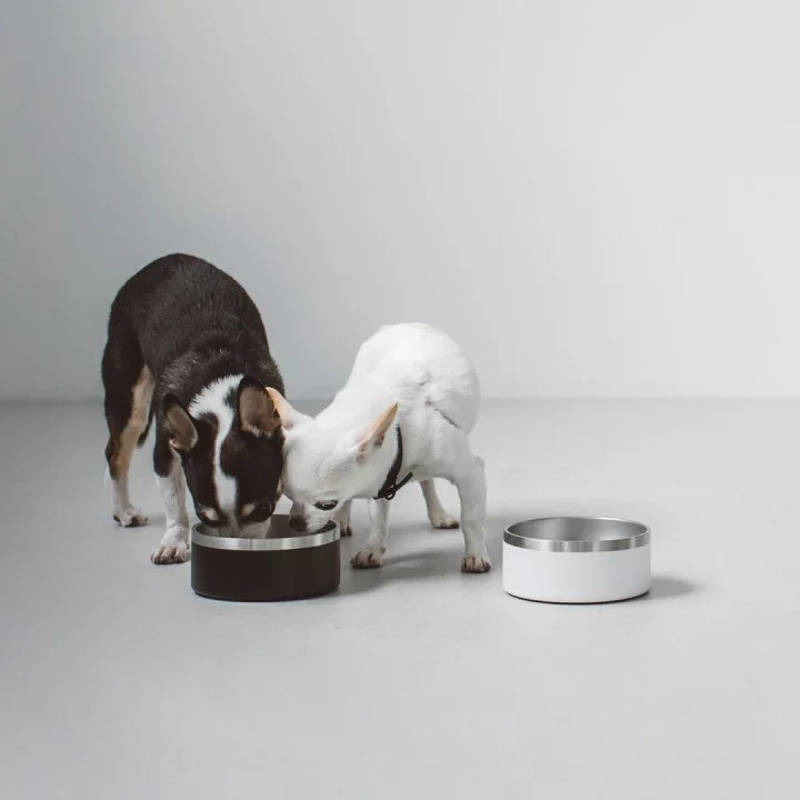 DUAL-LAYERED STAINLESS STEEL DOG BOWL 時髦不鏽鋼寵物碗