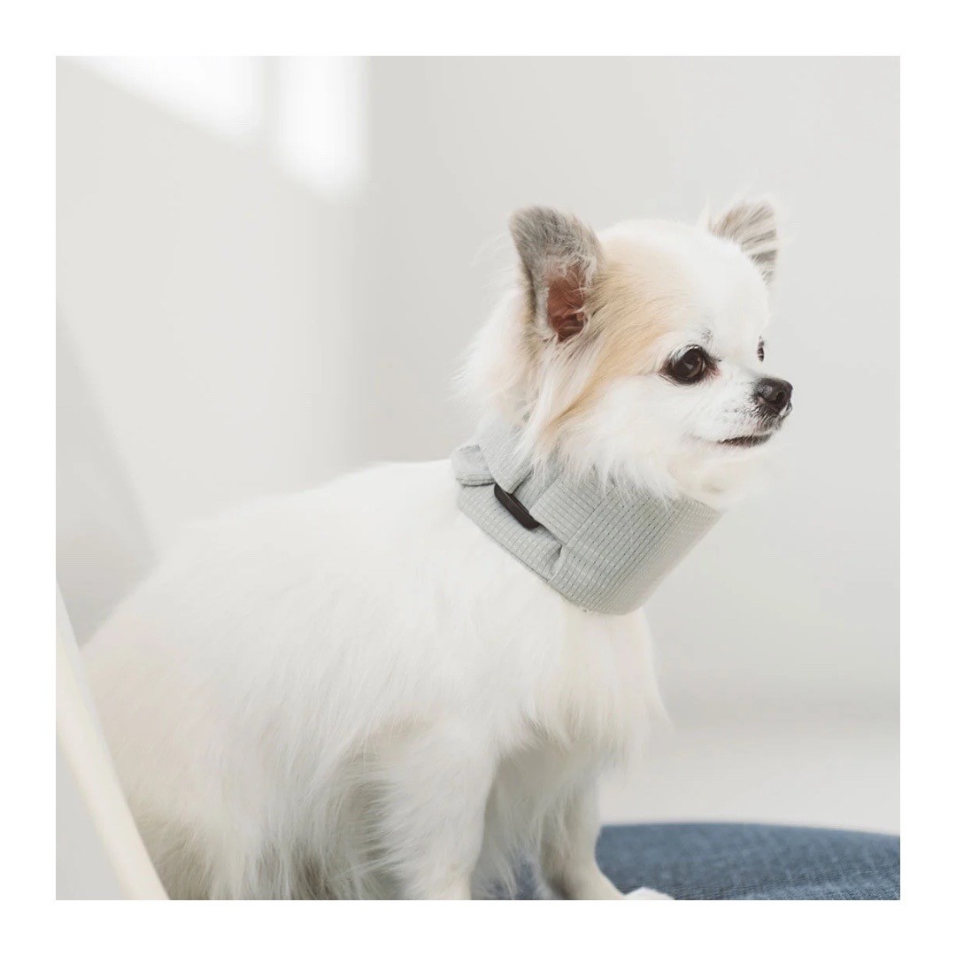 DOT AIR COOLING NECK BAND 冷凝膠降溫領巾