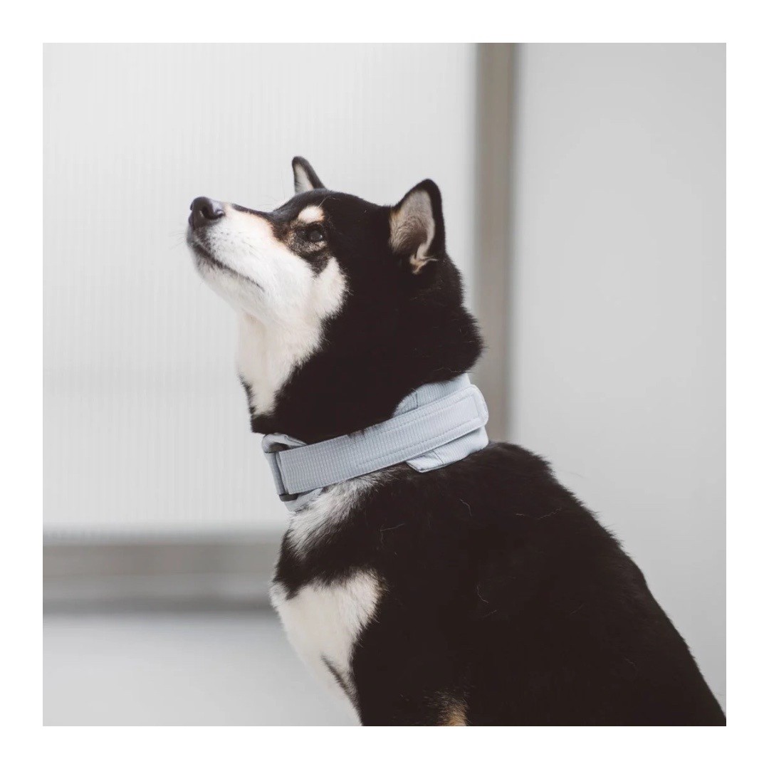 DOT AIR COOLING NECK BAND 冷凝膠降溫領巾