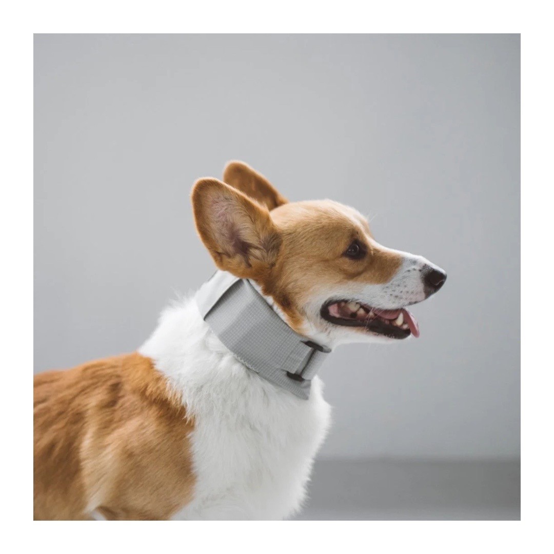 DOT AIR COOLING NECK BAND 冷凝膠降溫領巾