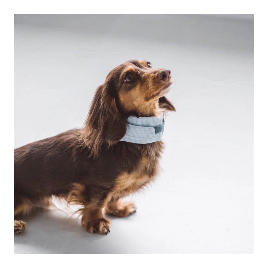 DOT AIR COOLING NECK BAND 冷凝膠降溫領巾