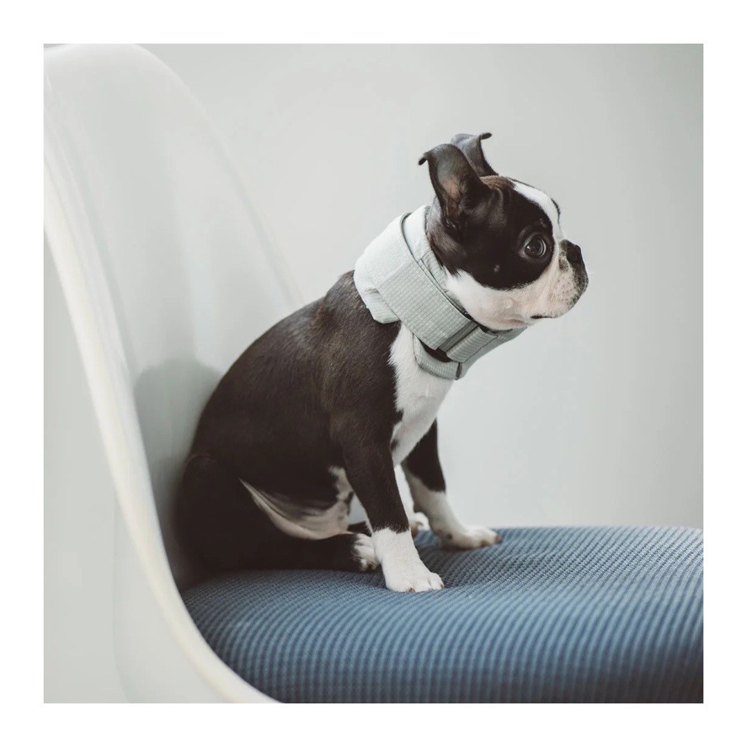 DOT AIR COOLING NECK BAND 冷凝膠降溫領巾