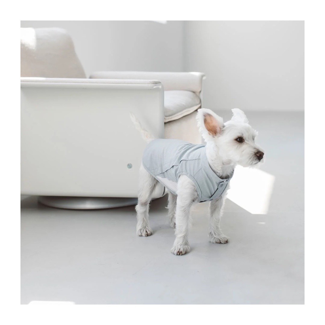 DOT AIR VENTILATED SHIRT 網眼機能透氣襯衫 | 米杏
