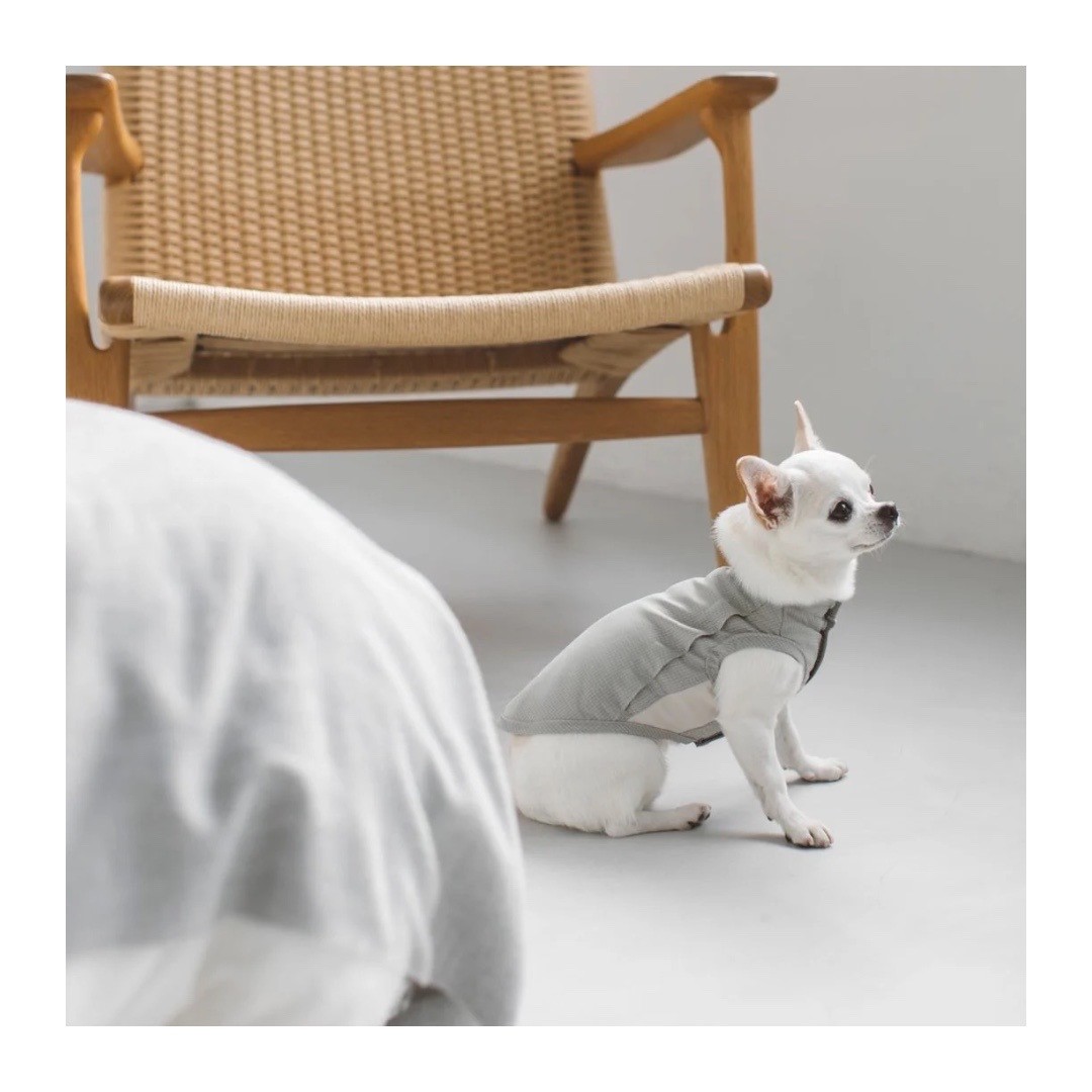 DOT AIR VENTILATED SHIRT 網眼機能透氣襯衫 | 米杏