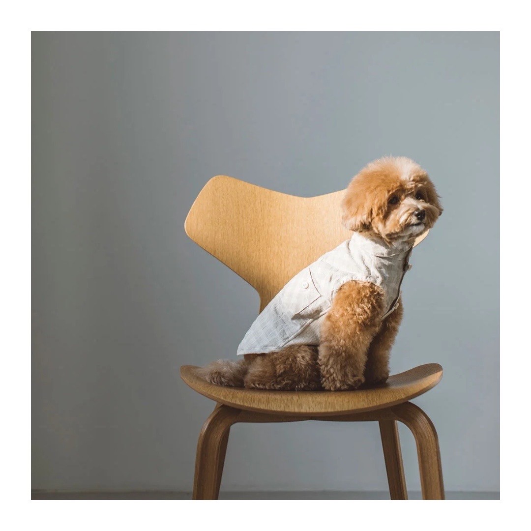 DOBBY CHECK COTTON LINEN SHIRT 格紋棉麻襯衫｜白
