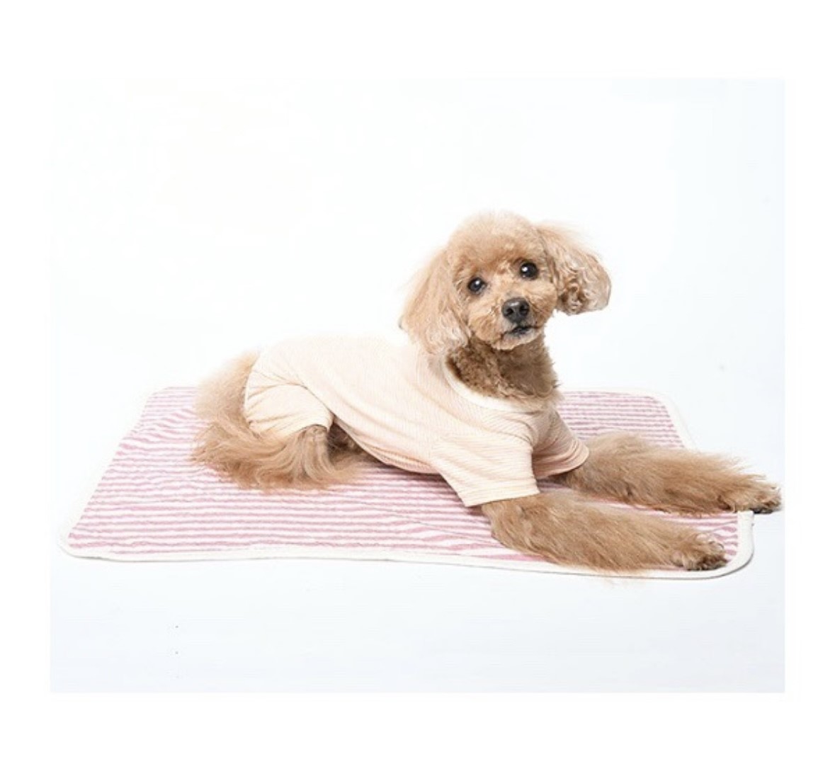Organic cotton striped reversible blanket ｜ 有機棉條紋雙面毯
