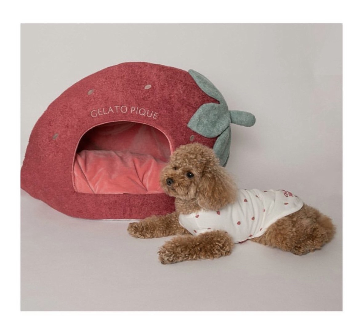 soft strawberry bed |  軟綿綿草莓床