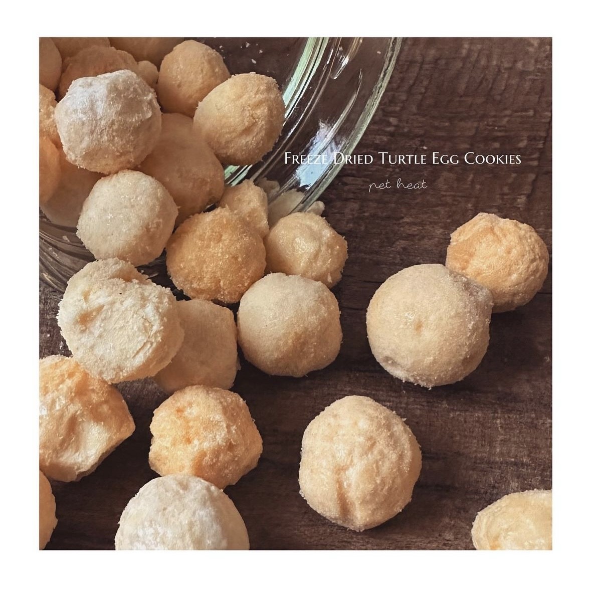 Freeze Dried Turtle Egg Cookies |  冷凍乾燥鱉蛋餅乾