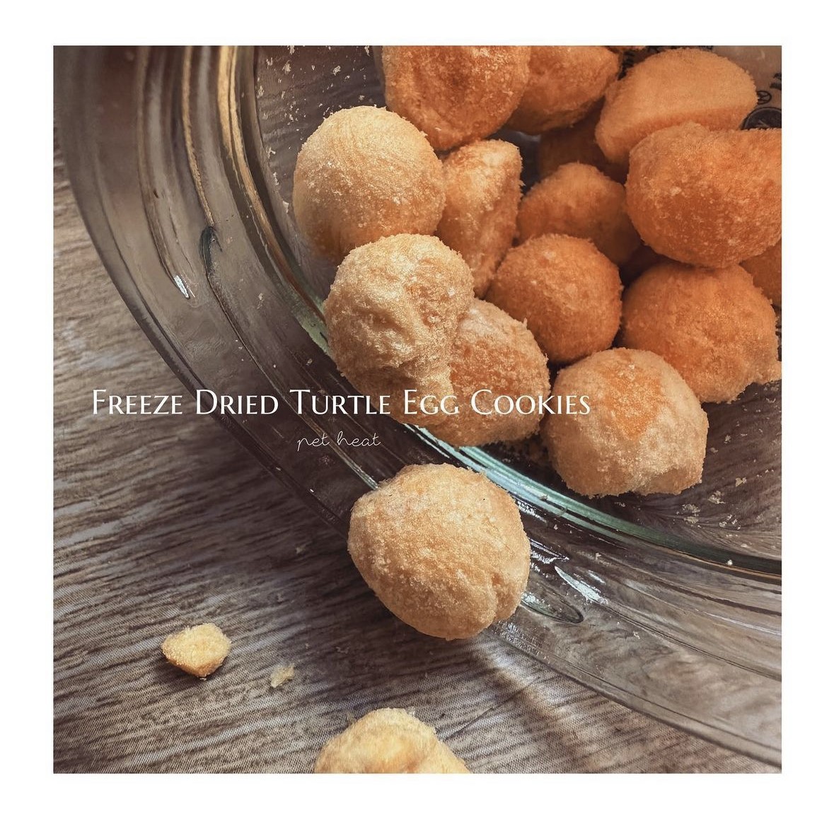 Freeze Dried Turtle Egg Cookies |  冷凍乾燥鱉蛋餅乾
