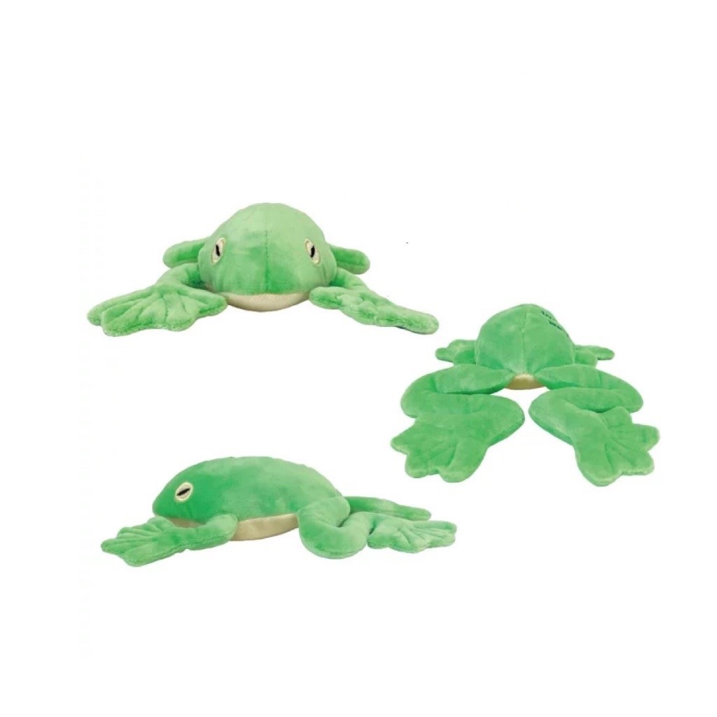 frog and tadpole toy | 青蛙和蝌蚪玩具