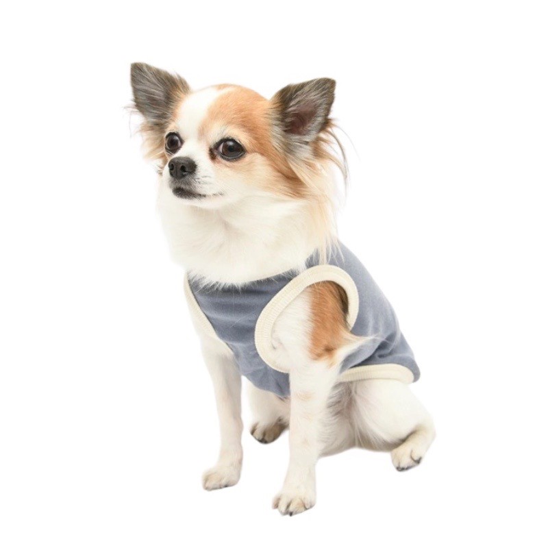 Organic cotton dinosaur vest ｜有機棉恐龍背心