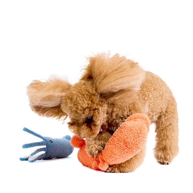 Sea creature hiding food toy ｜海天使