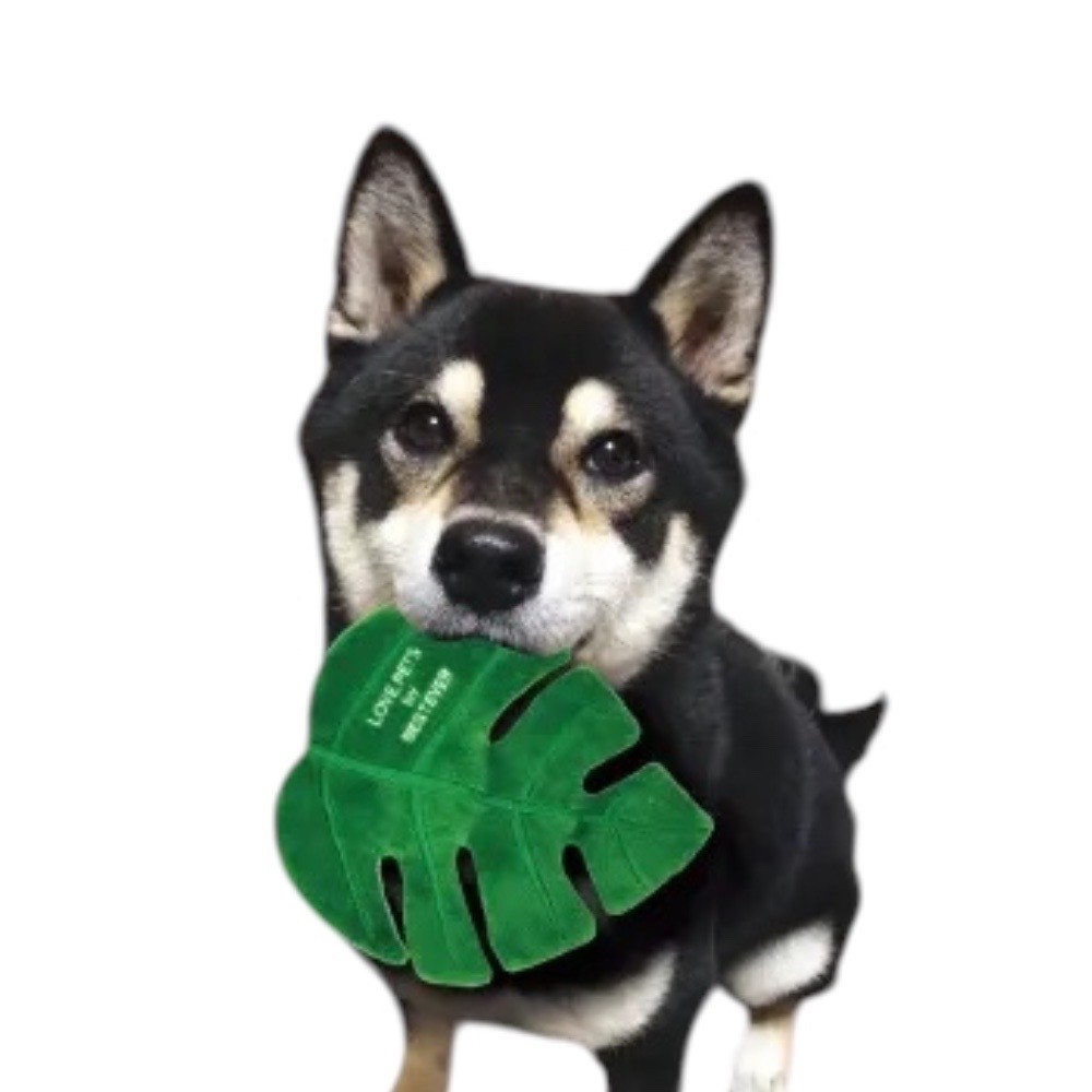 龜背葉藏食玩具