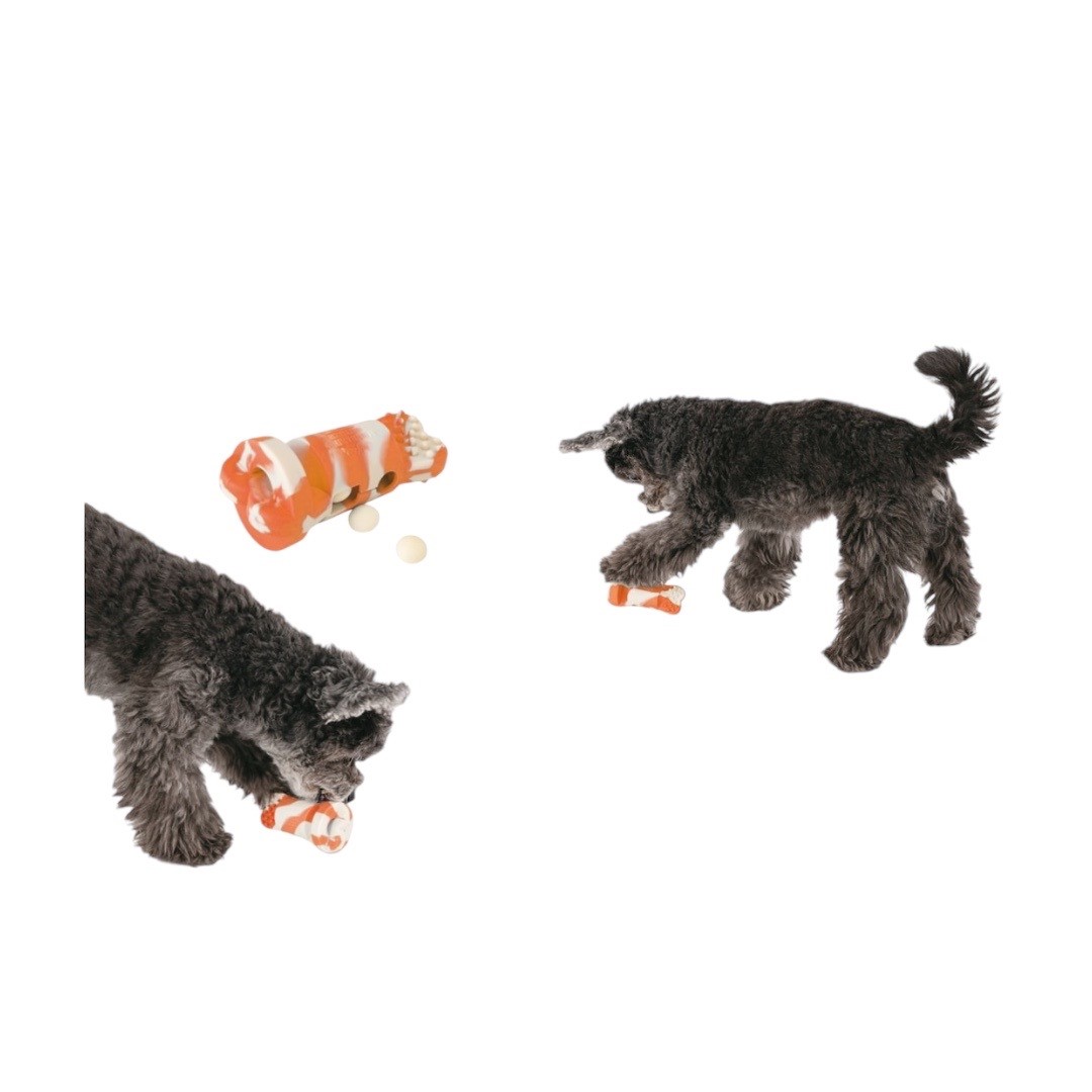 Puppy's Set 寵物床組