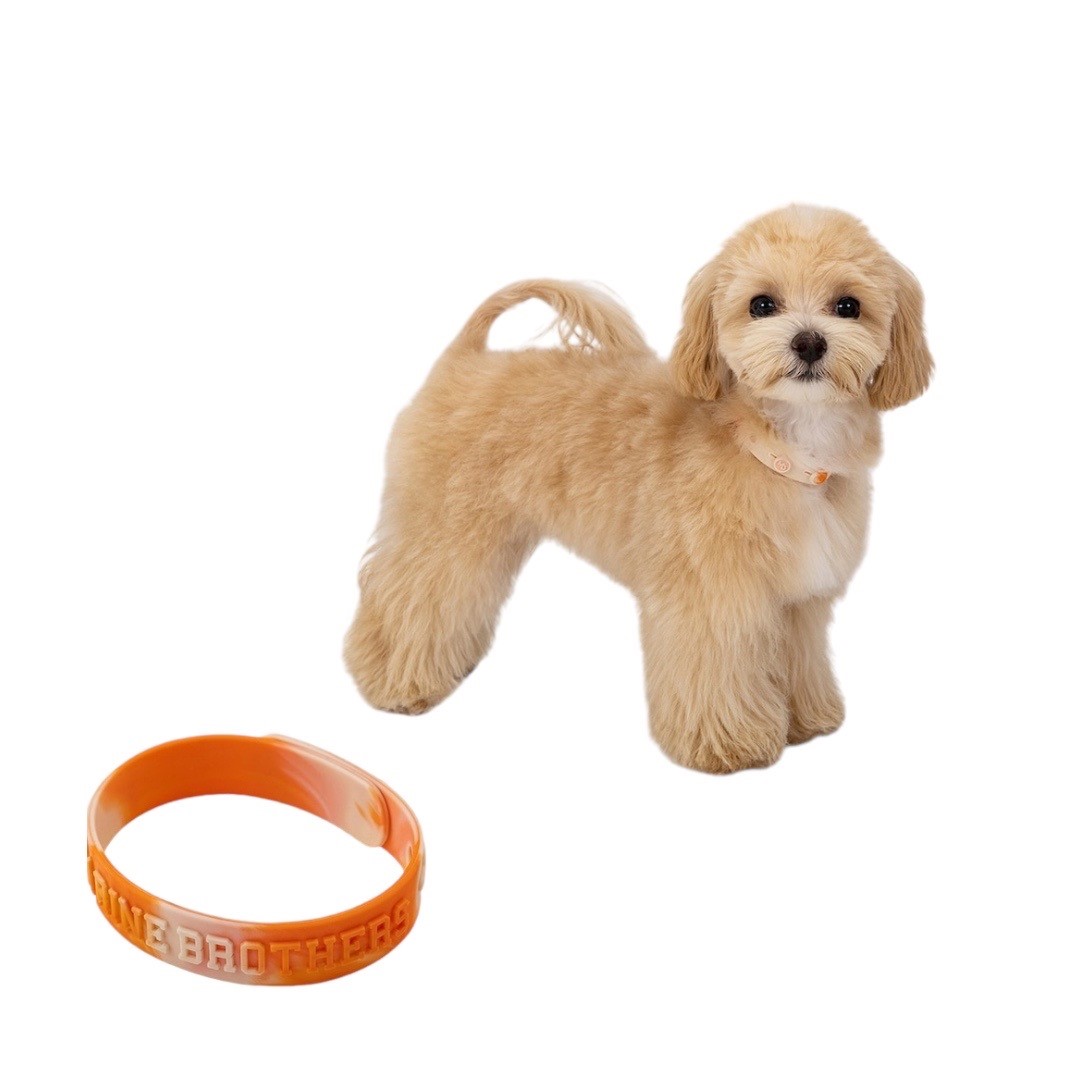 Puppy's Set 寵物床組