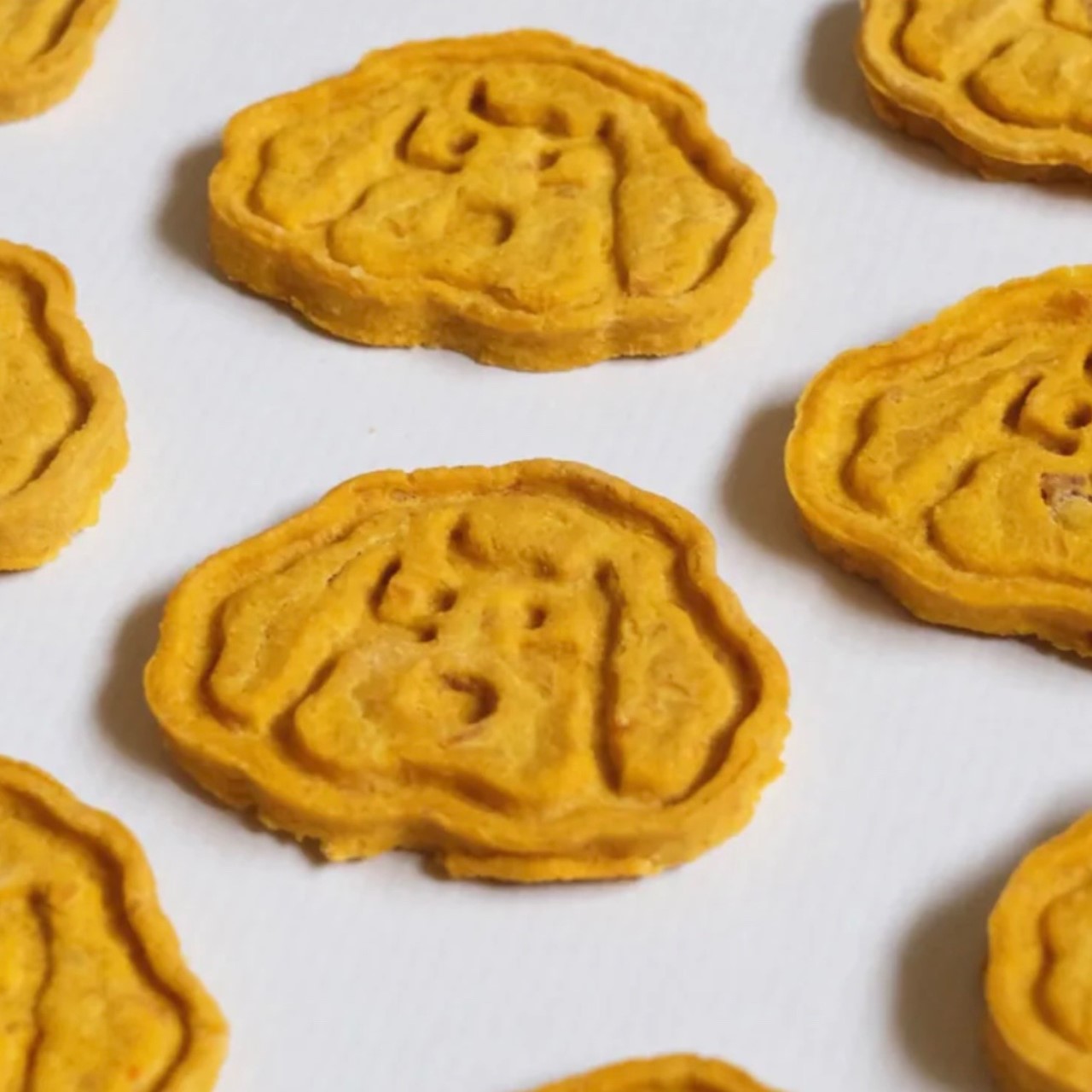 輕鬆交朋友零食【南瓜火雞】交友零食 BUDDY BISCUITS 40g