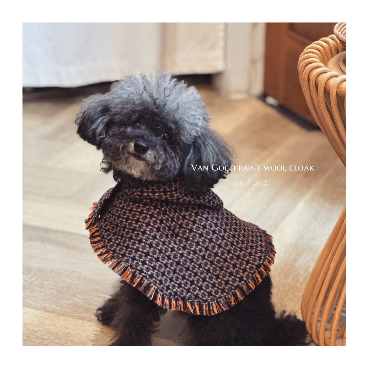 Van Gogh color woolen cloak  ｜  梵谷色料毛呢披風