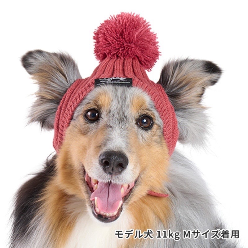 BASIC KNIT CAP  |  球球毛帽
