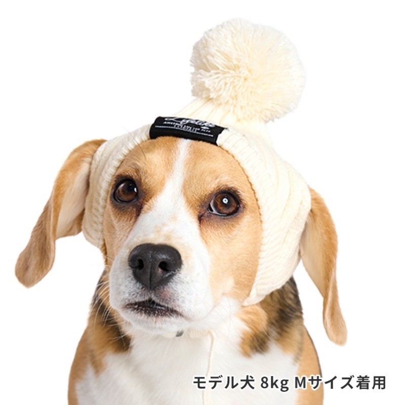 BASIC KNIT CAP  |  球球毛帽