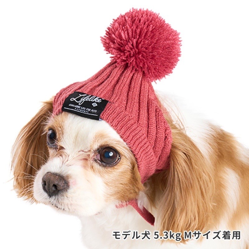 BASIC KNIT CAP  |  球球毛帽