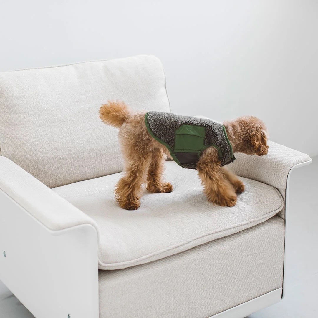 BOA FLEECE VEST |  簡約絨毛背心 ／綠