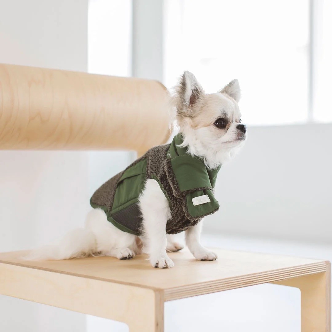 BOA FLEECE VEST |  簡約絨毛背心 ／綠