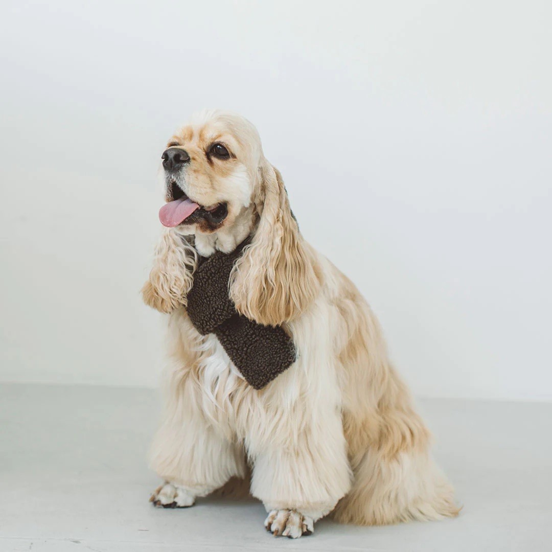 BOA FLEECE VEST |  簡約絨毛背心 ／咖