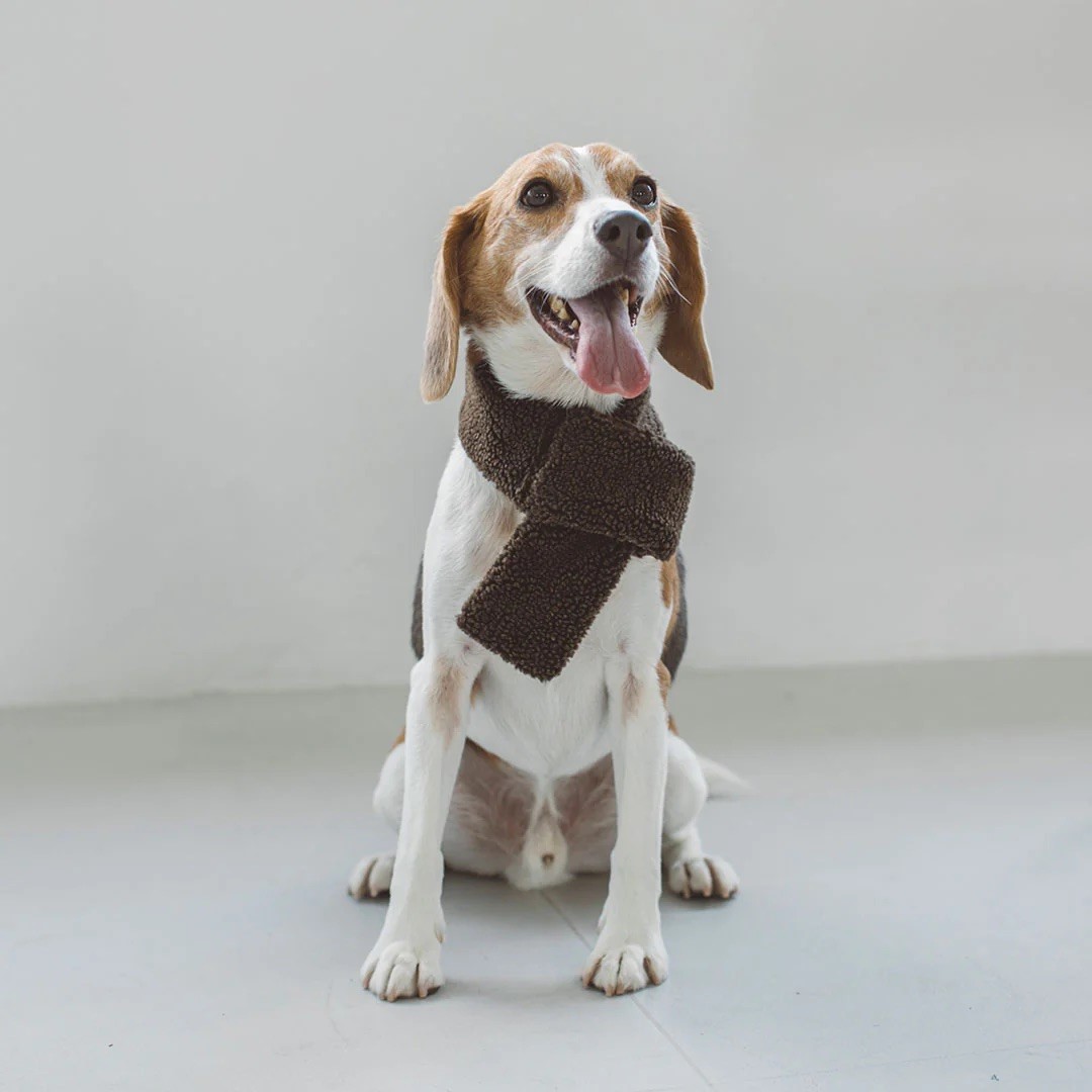 BOA FLEECE VEST |  簡約絨毛背心 ／咖