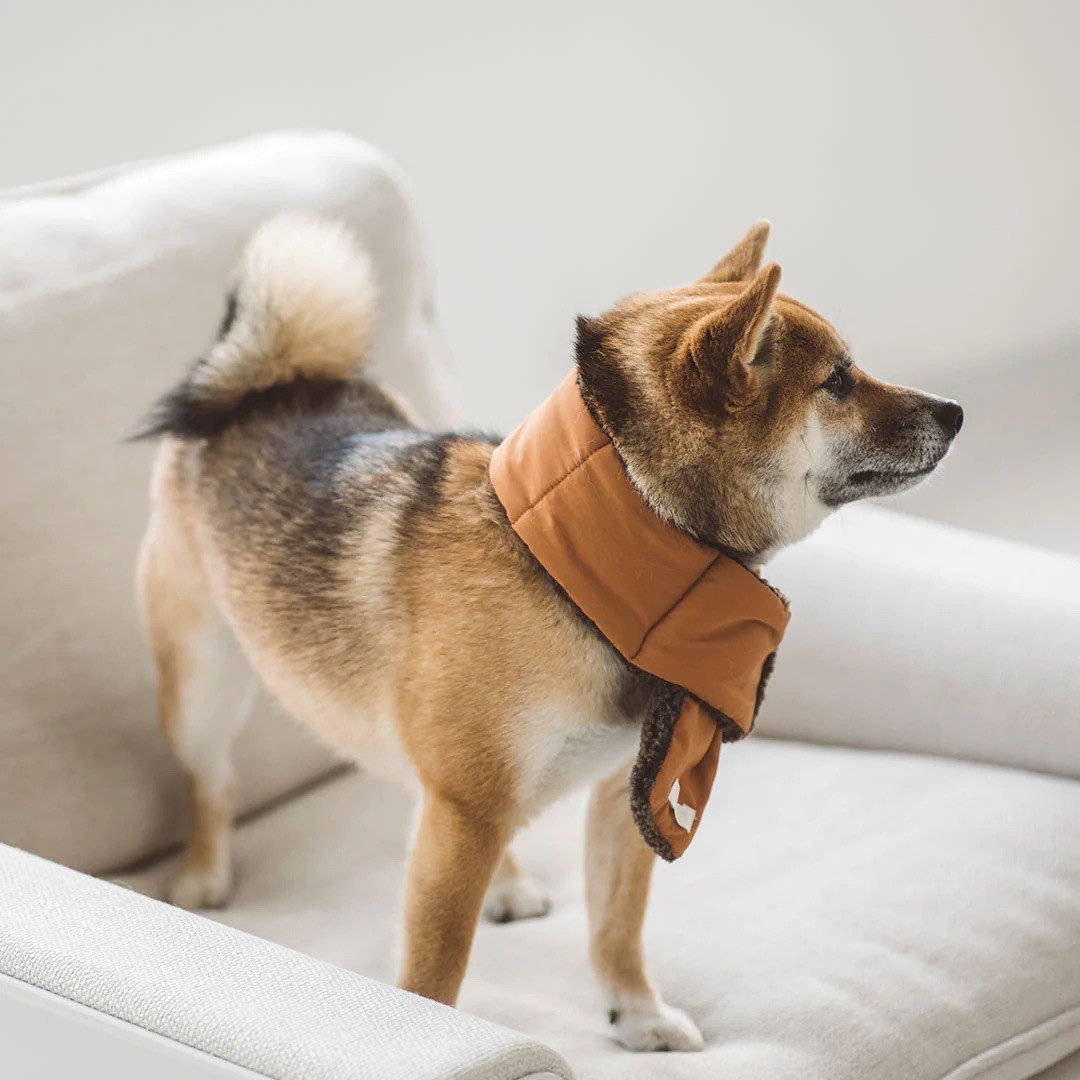 BOA FLEECE VEST |  簡約絨毛背心 ／咖