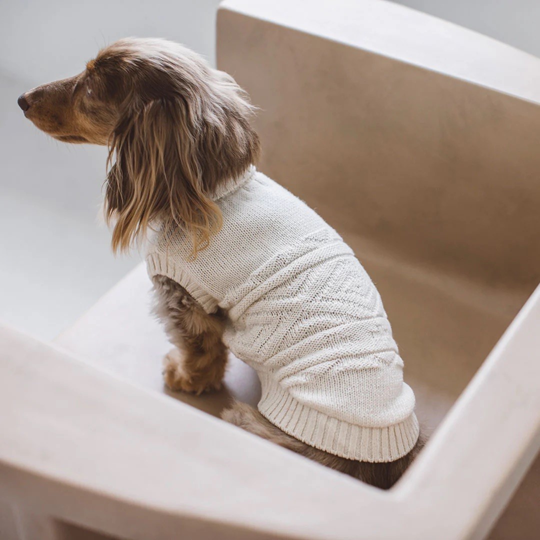 ORGANIC ORTEGA KNIT |  有機綿奧特加針織上衣
