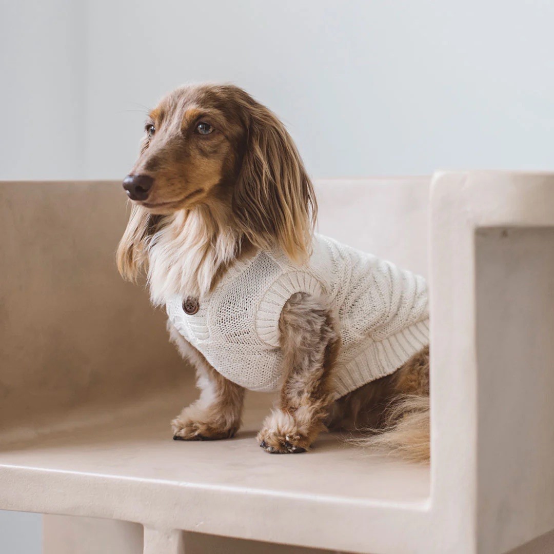 ORGANIC ORTEGA KNIT |  有機綿奧特加針織上衣