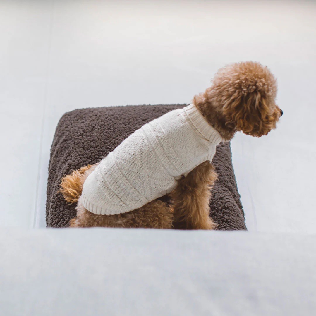 ORGANIC ORTEGA KNIT |  有機綿奧特加針織上衣